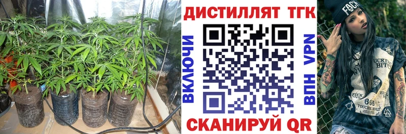 Дистиллят ТГК вейп с тгк где можно купить Андреаполь